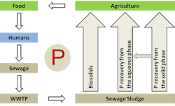 Kabbe Figure 1 Kabbe Figure 1
