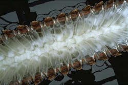 Kruger Actiflo 1305ww Kruger Actiflo 1305ww