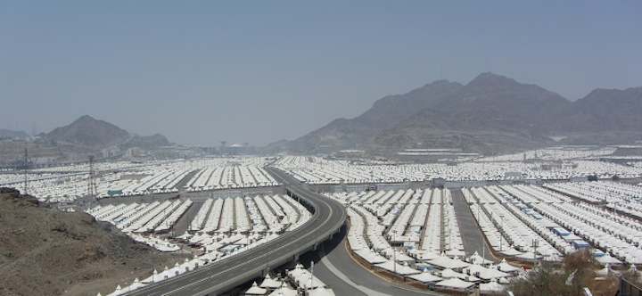 Ksa Arcadis