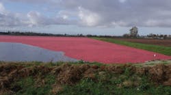 Ksb 106 Fig 1 Dscf5590 Ksb 106 Fig 1 Dscf5590