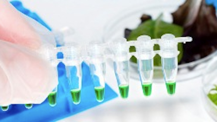 Lab Food Testing S