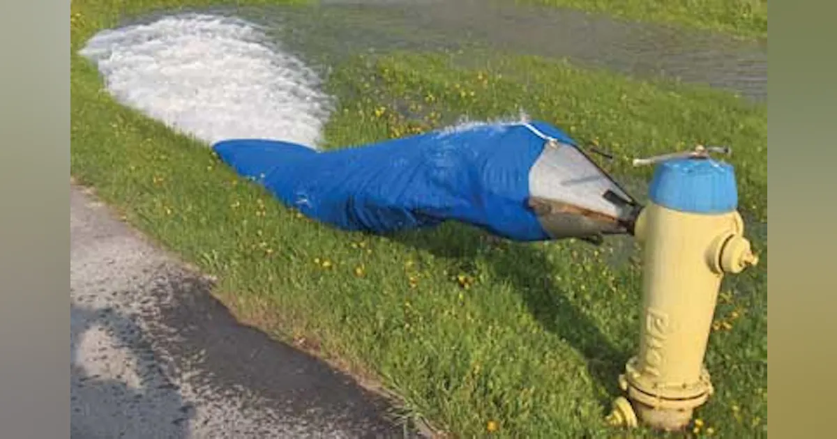 Hydrant flushing | WaterWorld