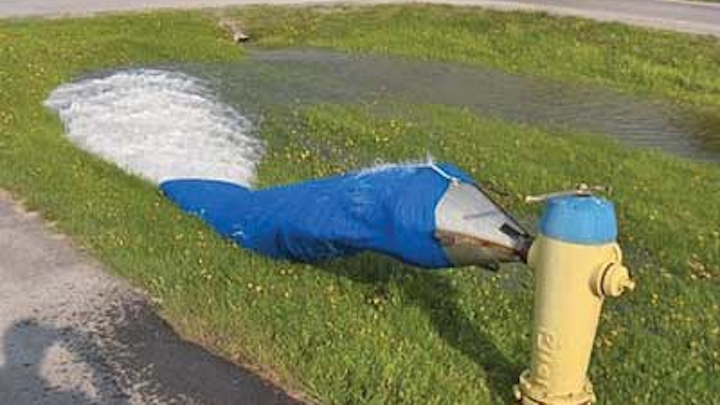 Lakeshore Hydrant 1305ww