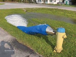 Lakeshore Hydrant 1305ww
