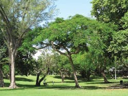 Leak Detection 4 1407ww Leak Detection 4 1407ww