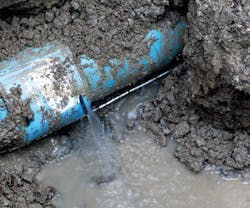 Leaks 1 Image1 Leaks 1 Image1