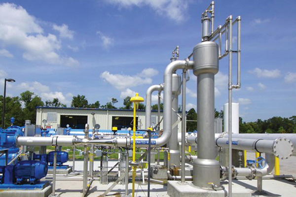 Mazzei Gdt Ss Crop 2x3