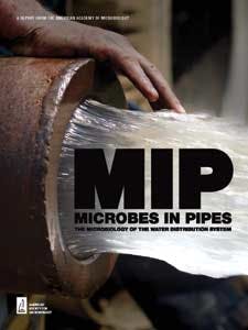 Microbes Mip 1303ww