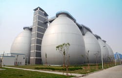 Modern Ad Plant Modern Ad Plant