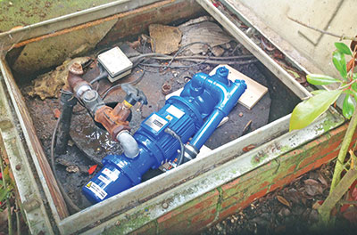 Moyno Mo 182 Yellowfoot