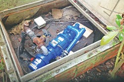 Moyno Mo 182 Yellowfoot Moyno Mo 182 Yellowfoot