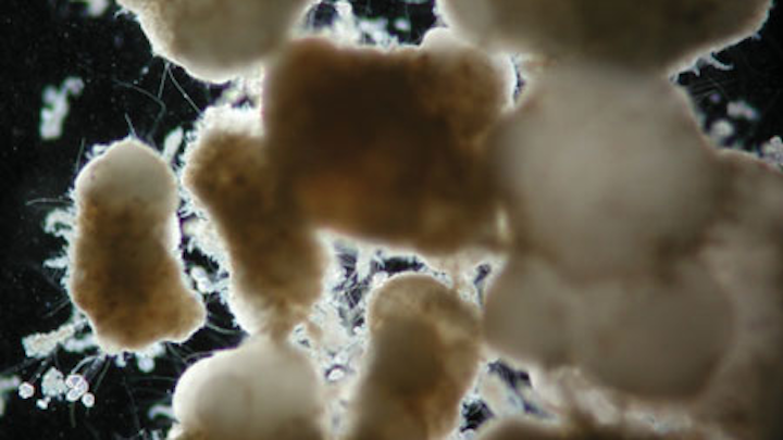 Nereda Aerobic Granules Co
