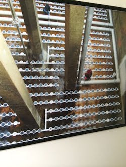 Nexus 1510ww Dc Water Diffusers Photo Nexus 1510ww Dc Water Diffusers Photo