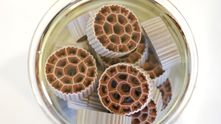 Nutrient Recovery Biocarriers Web
