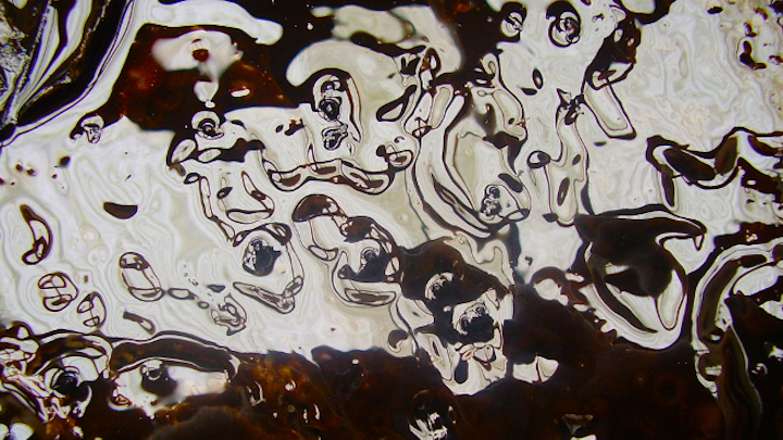 Oil Spill Web