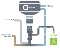 Ostara Pearl Process 5x5in300dpi Ostara Pearl Process 5x5in300dpi