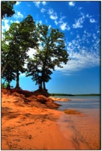 Pennwell web 204 300 Pennwell web 204 300