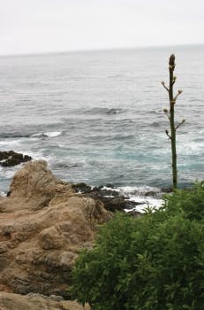 Pennwell web 231 350 Pennwell web 231 350