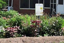 Pennwell web 240 160 Pennwell web 240 160