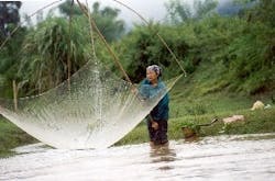 Pennwell web 294 194 Pennwell web 294 194