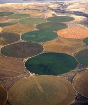 Pennwell web 300 358