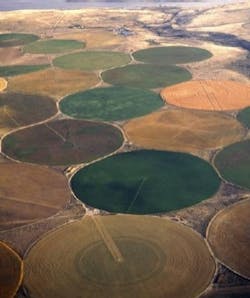 Pennwell web 300 358 Pennwell web 300 358