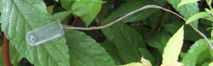 Pennwell web 300 93