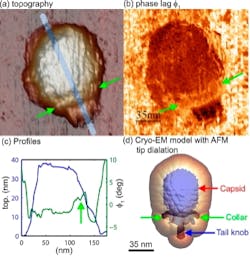 Pennwell web 349 361 Pennwell web 349 361