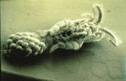 Pennwell web 350 228 Pennwell web 350 228