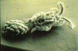 Pennwell web 350 228 Pennwell web 350 228