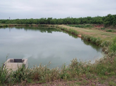 pond treatment