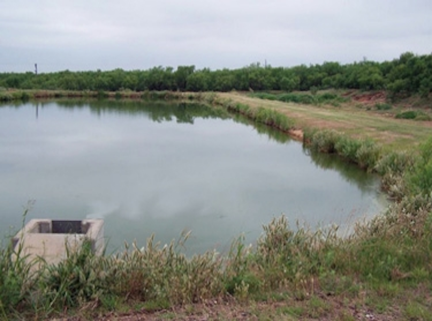 Introduction to Wastewater Treatment Ponds WaterWorld