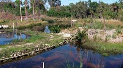 Pennwell web 400 223 Pennwell web 400 223