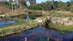 Pennwell web 400 223 Pennwell web 400 223