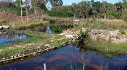 Pennwell web 400 223 Pennwell web 400 223