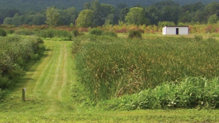 Pennwell web 400 259