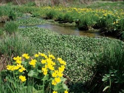 Pennwell web 500 375 Pennwell web 500 375