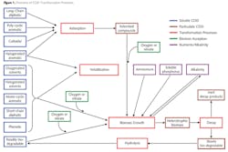 Pennwell web 600 400 Pennwell web 600 400