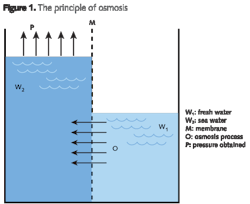 Pennwell web 600 490 Pennwell web 600 490