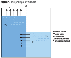 Pennwell web 600 490 Pennwell web 600 490