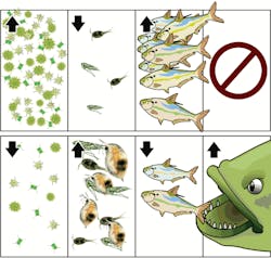 Pennwell web 600 570 Pennwell web 600 570