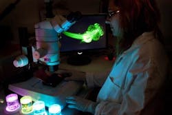 Photo Watchfrog Veolia Majani D Inguimbert Photo Watchfrog Veolia Majani D Inguimbert