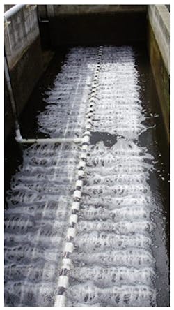 Picture189 Picture189