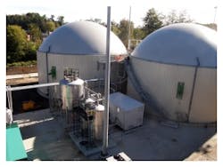 Picturenm1 Picturenm1