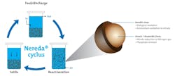 Principle Nereda Cycle 2 Principle Nereda Cycle 2