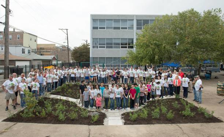 Rain Gardens