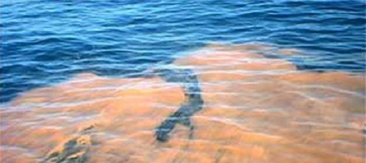 Red Tide