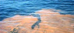 Red Tide Red Tide