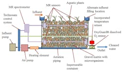 Reed Bed 1 Reed Bed 1