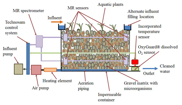 Reed Bed Installations | WaterWorld
